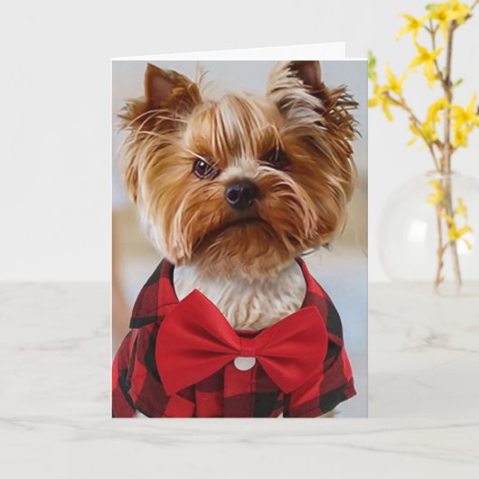 HOOP DAT UW BIRTHDAY SPECIAAL IS ZOALS JULLIE! KAART (Gele Bloem)