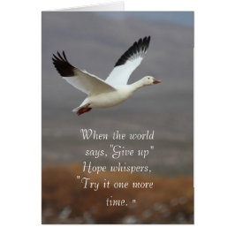 Hoop dat whisky het nog een keer probeert