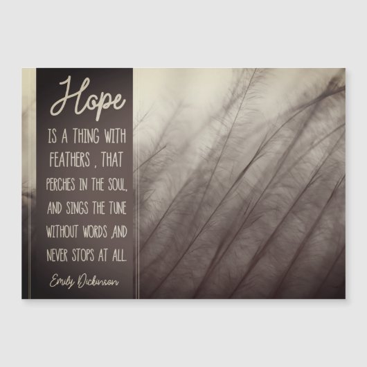 HOOP EEN ding met veren (Voorkant)