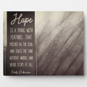 HOOP EEN ding met veren Fotoplaat (Voorkant)