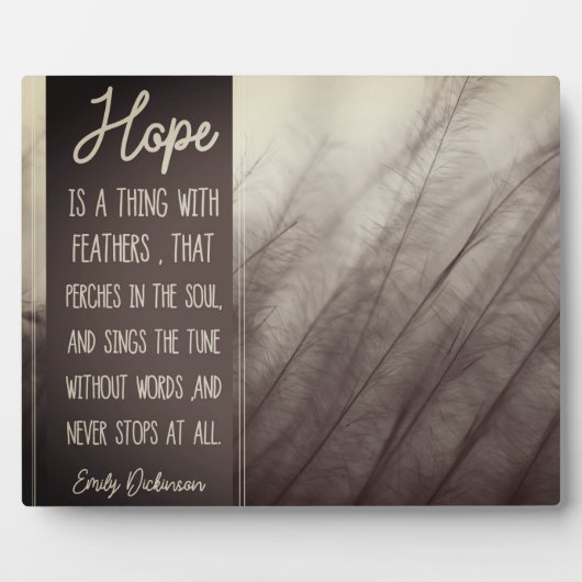 HOOP EEN ding met veren Fotoplaat (Voorkant)