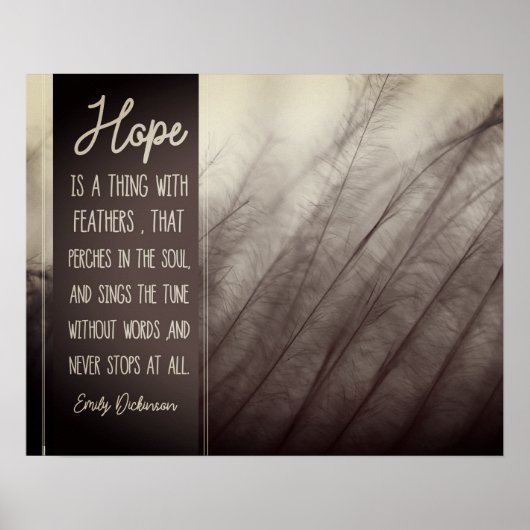 HOOP EEN ding met veren Poster (Voorkant)