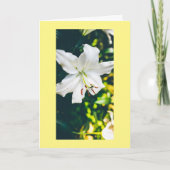 HOOP EN MEER WISSEN VOOR U IN EENVOUDIGER GEVAL KAART (Voorkant)