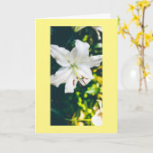 HOOP EN MEER WISSEN VOOR U IN EENVOUDIGER GEVAL KAART (Gele Bloem)