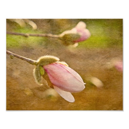 Hoop Foto Afdruk (Voorkant)