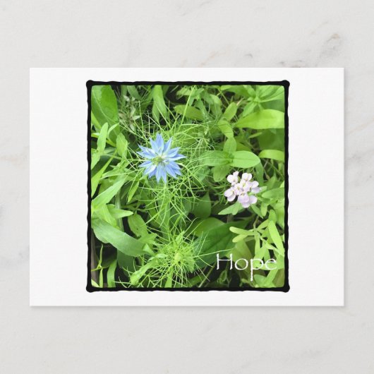 Hoop horizontaal briefkaart (Voorkant)