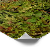 Hoop in God, Herfst Fotografie Christelijk Poster (Hoek)