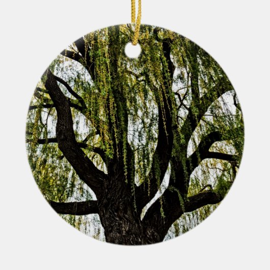 hoop in het voorjaar gedempt keramisch ornament (Voorkant)