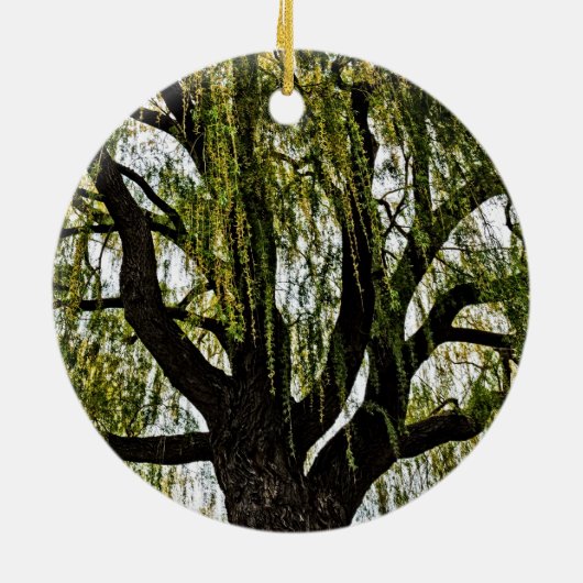 hoop in het voorjaar gedempt keramisch ornament (Achterkant)