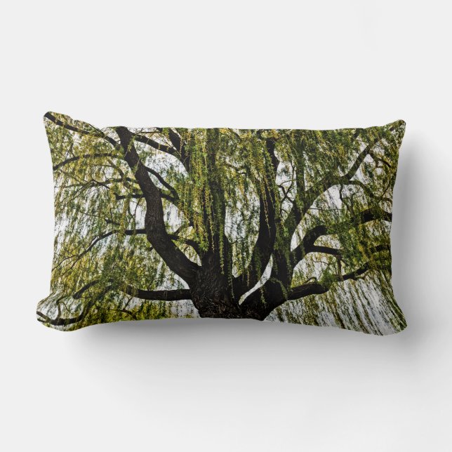 hoop in het voorjaar gedempt kussen (Voorkant)