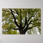 hoop in het voorjaar gedempt poster (Voorkant)