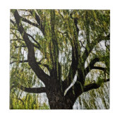 hoop in het voorjaar gedempt tegeltje (Voorkant)