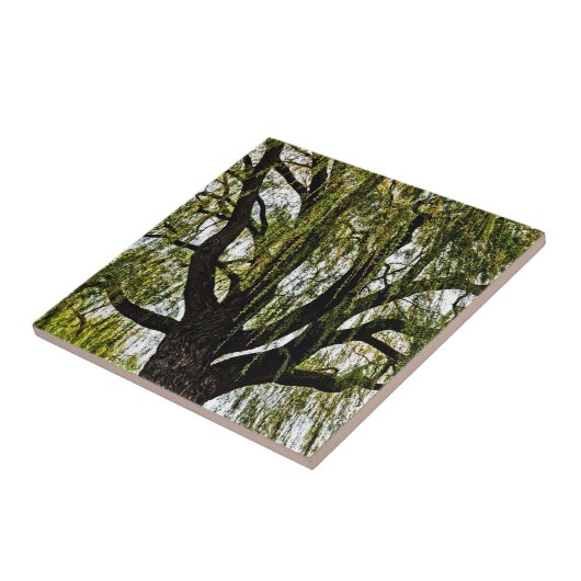 hoop in het voorjaar gedempt tegeltje (Zijkant)