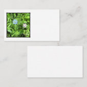 Hoop Informatiekaartje (Voorkant / Achterkant)