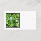 Hoop Informatiekaartje (Voorkant)