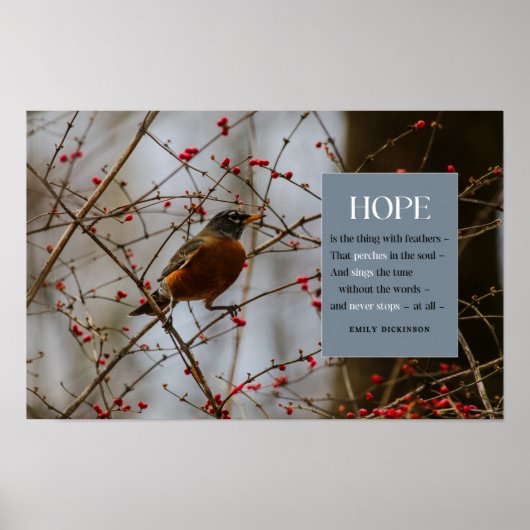 Hoop Inspirerend Emily Dickinson Vogelcitaat Poster (Voorkant)