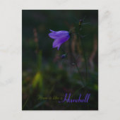 Hoop is als een harebell CC0229 Briefkaart (Voorkant)