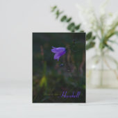 Hoop is als een harebell CC0229 Briefkaart (Staand voorkant)