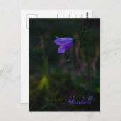 Hoop is als een harebell CC0229 Briefkaart (Voorkant / Achterkant)