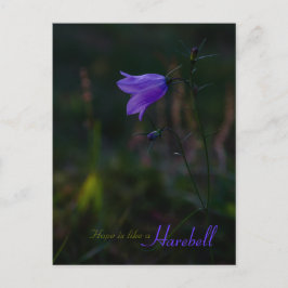 Hoop is als een harebell CC0229 Briefkaart