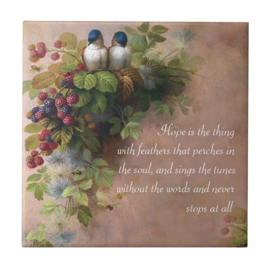 Hoop is het ding met veers artistieke tegels tegeltje (Voorkant)