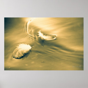 Hoop is het ding met veren poster