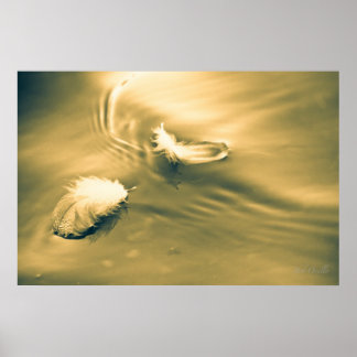 Hoop is het ding met veren poster