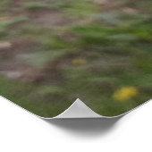 Hoop is nabij poster (Hoek)