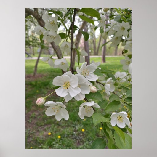 Hoop is nabij poster (Voorkant)