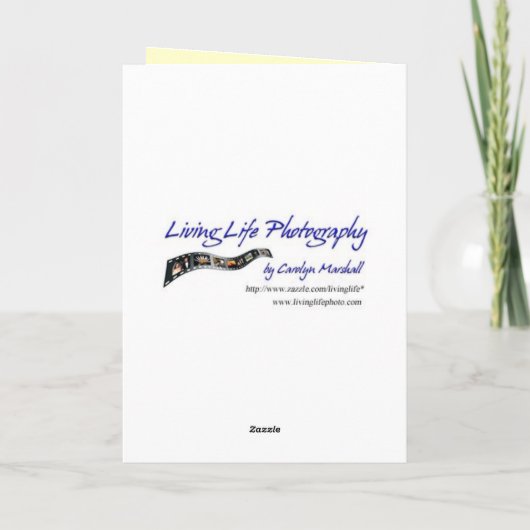 Hoop Kaart (Achterkant)