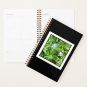Hoop klein planner (Display)