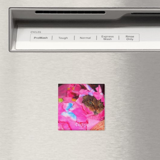 Hoop Magneet (Insitu (Vaatwasser))