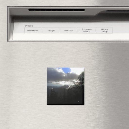 Hoop.... Magneet (Insitu (Vaatwasser))