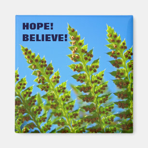 HOOP! magneet Geloof! Groene bosvarens bladeren