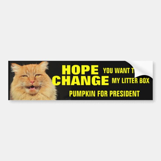 Hoop op verandering in vers kattenafval bumpersticker (Voorkant)
