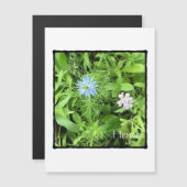 Hoop Verticale Magnetische Kaart (Voorkant / Achterkant)