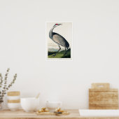 Hooping Crane door Poster Audubon (Keuken)
