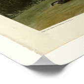 Hooping Crane Poster (Hoek)