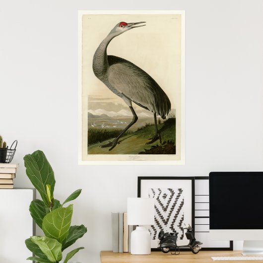 Hooping Crane Poster (Thuiskantoor)