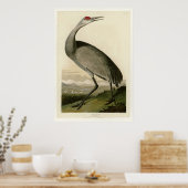 Hooping Crane Poster (Keuken)