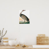 Hooping Crane van John James Audubon Poster (Keuken)