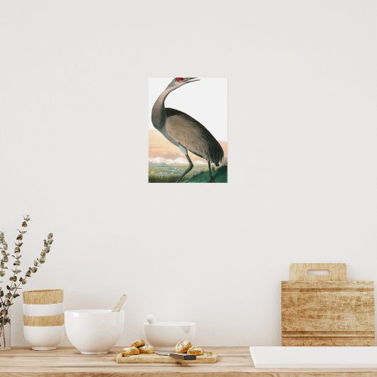 Hooping Crane van John James Audubon Poster (Keuken)