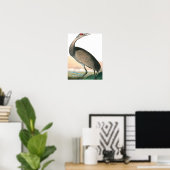 Hooping Crane van John James Audubon Poster (Thuiskantoor)