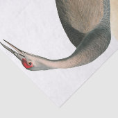 Hooping Crane van John James Audubon Tissuepapier (Detail)