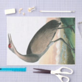 Hooping Crane van John James Audubon Tissuepapier (Craft)