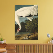 Hooping (Whooping) Crane, Audubon Birds of America Canvas Afdruk (Insitu (Woonkamer))