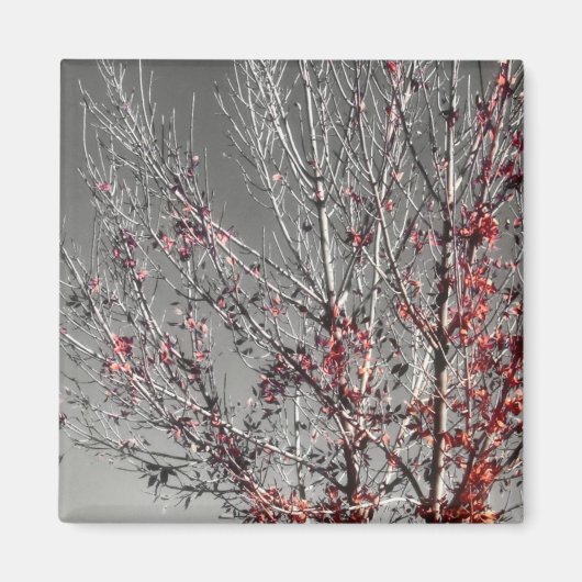 Hoopmagneet Magneet (Voorkant)