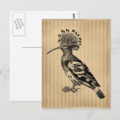  Hoopoe Bird Briefkaart (Voorkant / Achterkant)