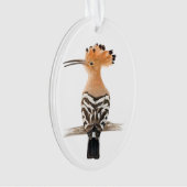 Hoopoe Bird Ornament (voorkant)