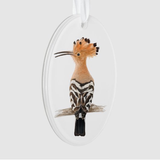 Hoopoe Bird Ornament (voorkant)